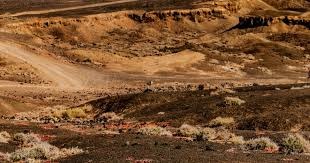 留洋官宣！梅州客家小将魏祥鑫加盟欧塞尔 7月1日登陆